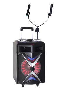 JH-101(S) Bluetooth Karaoke Speaker with 2 Microphones